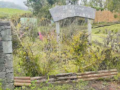 Ferme du Kilimandjaro (La)