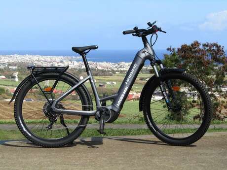 Mobility E-Bike