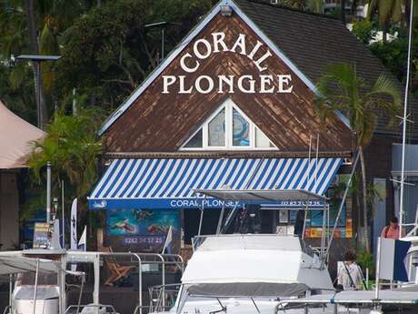 Corail Plongée