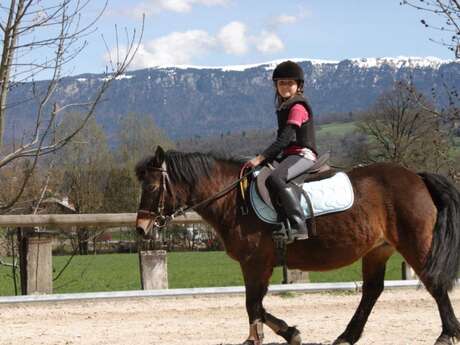 Cours particulier équitation enfant