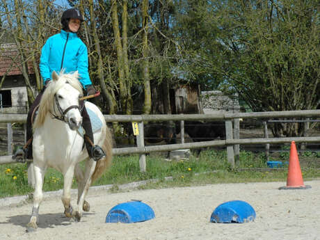 Cours particulier équitation adulte