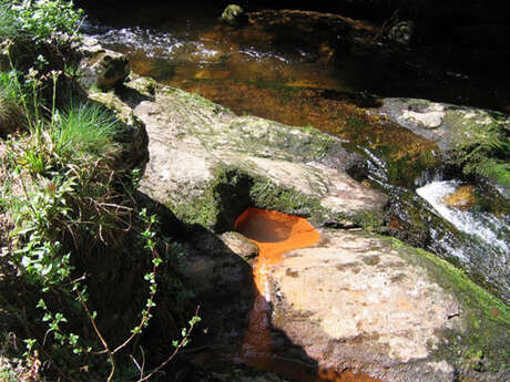 Source ferrugineuse de la Fontfort