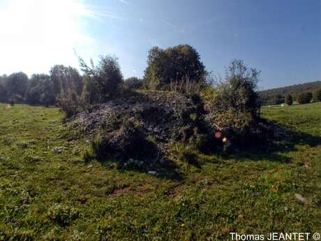 Tumulus de Corveissiat