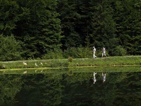 La Crossetaz Fitness Trail