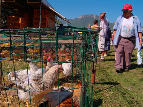 798ème Foire aux dindes de Lagrand