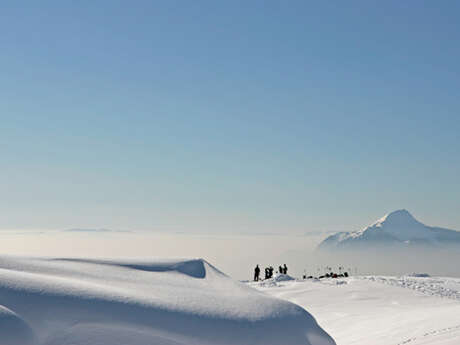 Ski hors piste/free ride - Grand Massif ou Chamonix - Bureau des Guides