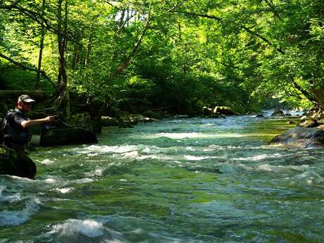 Pêche en rivière sur la Dranse de Morzine