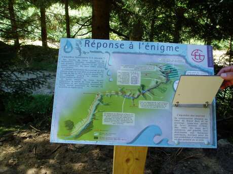 Sentier découverte - Les trésors de la forêt du Grand Bois - boucle de 2 km