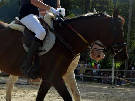 Cours collectif équitation enfant/ado