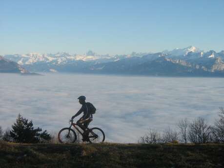 Mountain biking descent and enduro loops on Le Salève