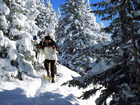 Sortie raquettes : Clairières et torrent face au mont blanc