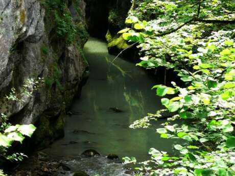 Gorges du Guiers Vif