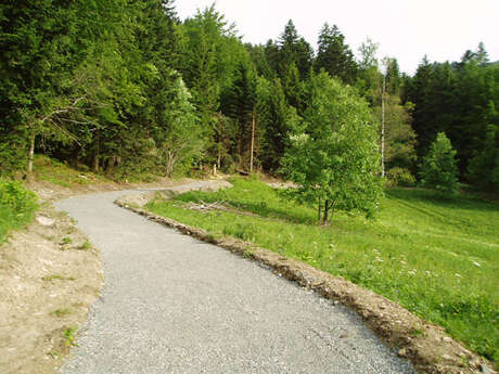 Sentier des l'arbres à son