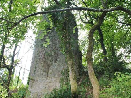 Castrum de Montdidier