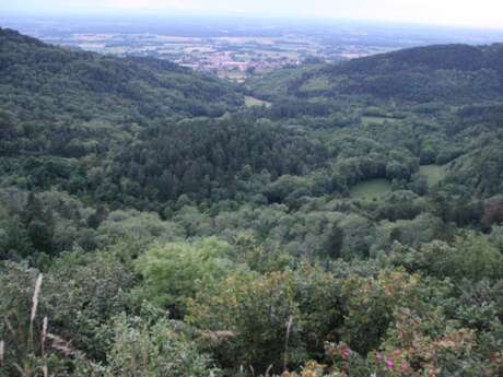 Grotte de la Cabatane