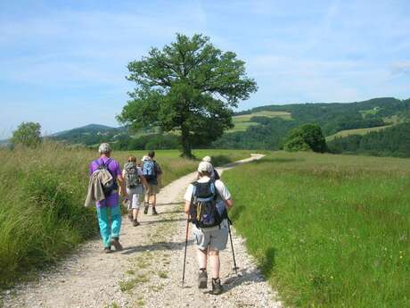 Le Plateau des Bornes