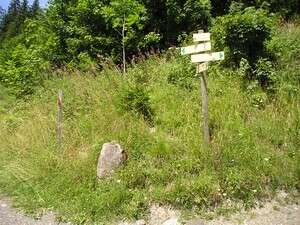 Petites Balades Le sentier des Epines Blanches