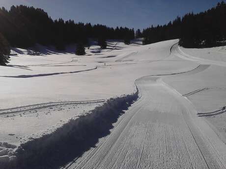 Leçon particulière de ski nordique : skating, classique, biathlon