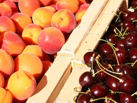 Mercredi : Marché hebdomadaire de Valréas