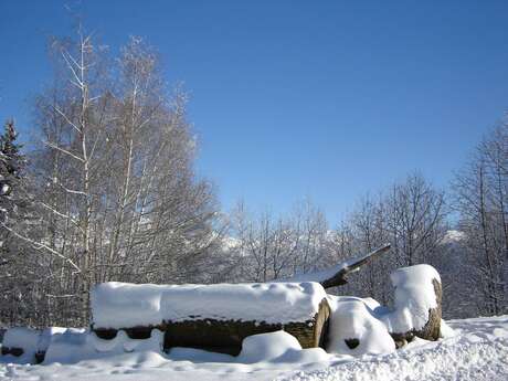 Snowshoeing "Bacré, au coeur du Mont-d'Arbois"