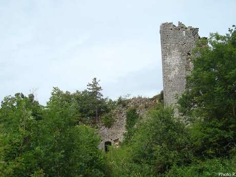 Notre-Dame-des-Conches from Jasseron