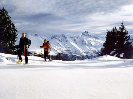 Sortie raquettes : Balade panoramique sur les crêtes