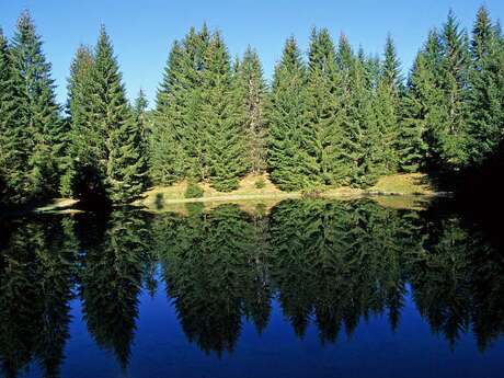 Lac du Fouyet