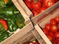 Samedi : Marché hebdomadaire de Grillon