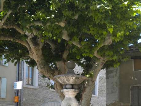 Géocaching au départ de Vaison la Romaine