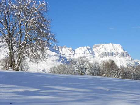 Racchette da neve "Les Aravis"