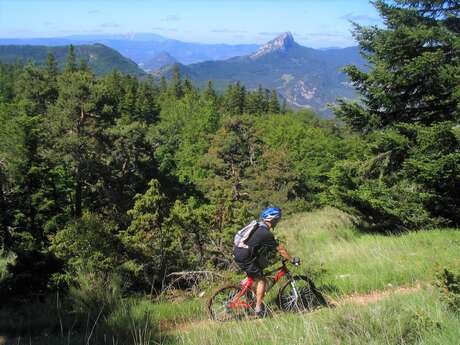 Crête du Dindaret à VTT (N°8)