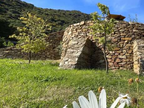 Visite des restanques de Saint-Clair