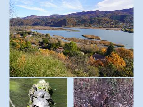 Festival Durance Nature