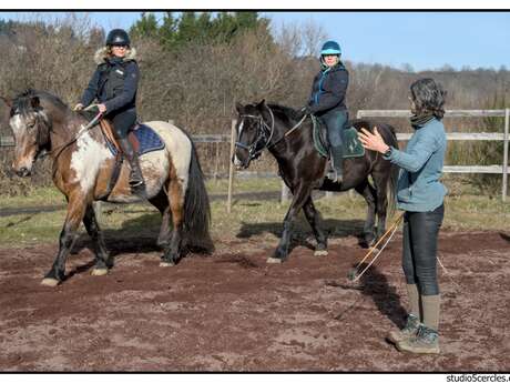 Stage équitation initiation et perfectionnement