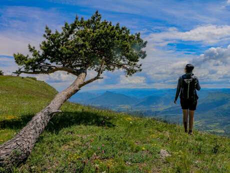 N°4  (rouge) - La boucle de Saint-Apôtre