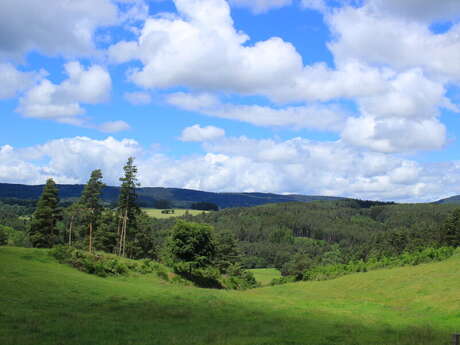 Séjour au cœur de l'espace trail massif du Forez