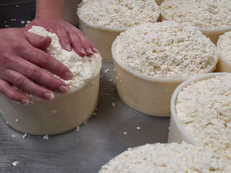 Production de fromage à la ferme
