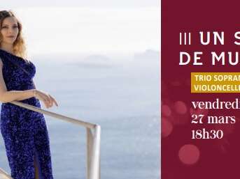 Un salon de musique - Concert