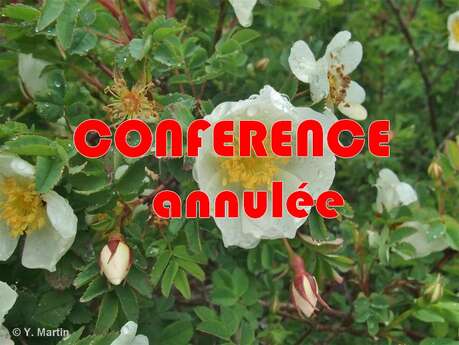 ANNULEE : Conférence "Plantes de montagne et cosmétique"