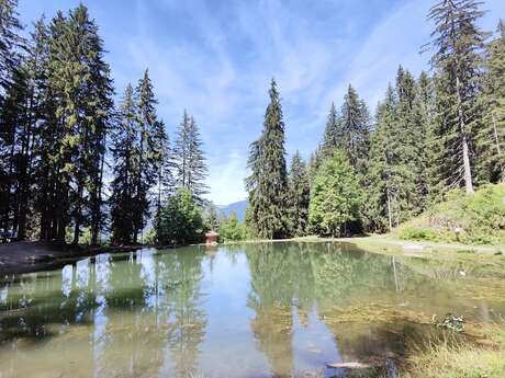 Lac des Evettes