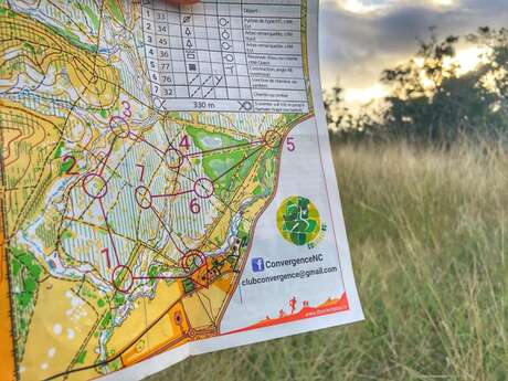 Orientation course of the Domain of Déva - Yellow Level