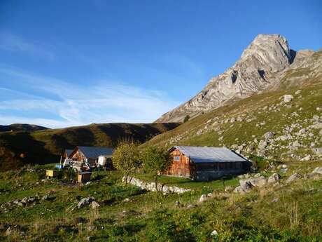 Ferme "Les Armaillis de l'Alpage des Freddys"