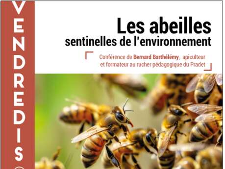 Kulturelle Freitage – „Bienen: Wächter der Umwelt“