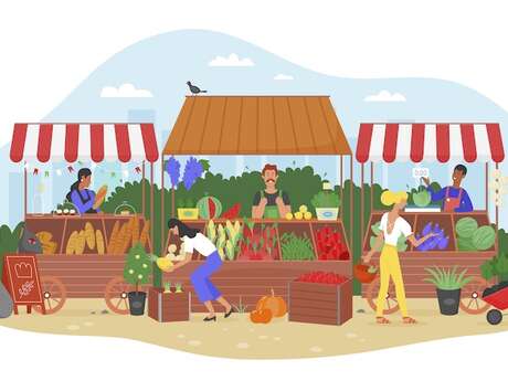 Pique-nique des chefs de Camargue