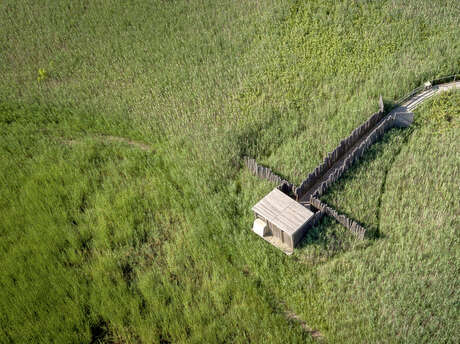 R09 - Etang salé de Courthézon