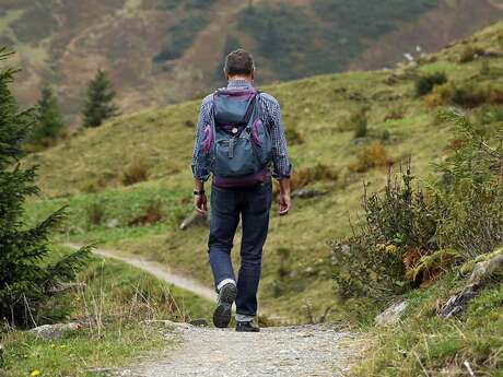 Le Chemin de Montaigne - GR®89 en Loire Forez