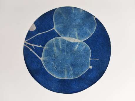 Exposition - Art, science et végétal