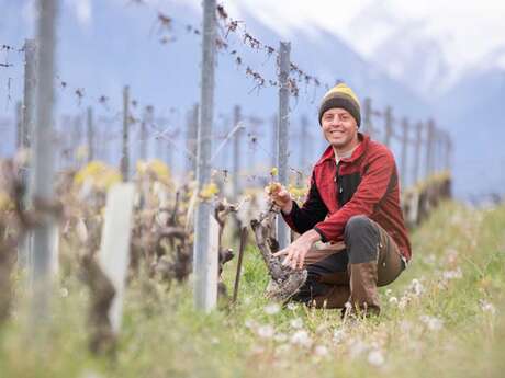 Soirée dégustation avec le vigneron Guillaume Bodin