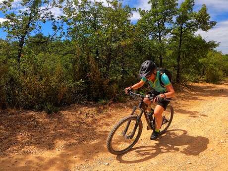 N°3 Bleu - Le balcons du lac de Sainte-Croix (Circuit VTT Moustiers-Sainte-Marie)