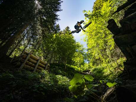 Domaine VTT Châtel